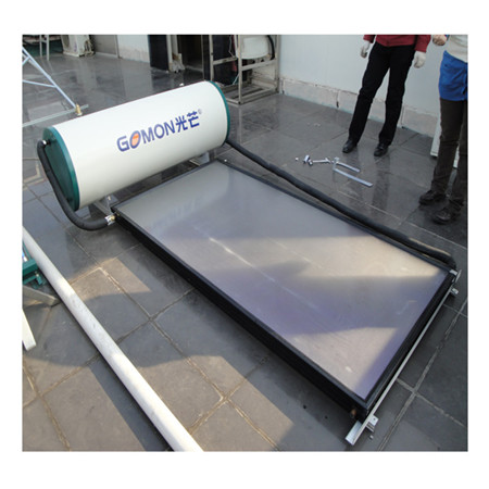 उच्च दक्षता शीर्ष गुणवत्ता फ्लैट प्लेट सौरव पानी हीटर १L० युरोपको लागि